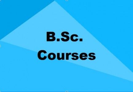 B.Sc colleges in India