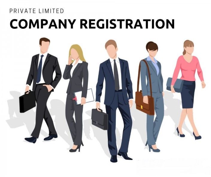 pvt-ltd-company