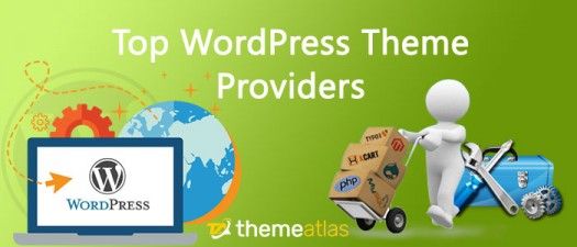 Top WordPress Themes