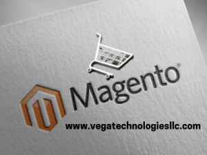 Magento Ecommerce Development Company