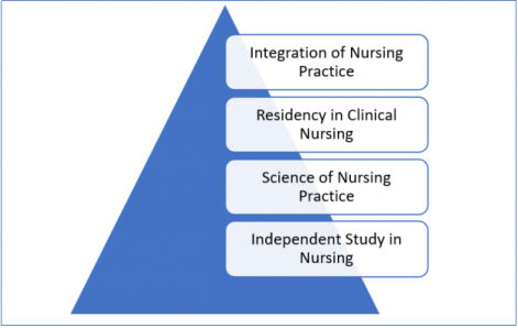 Nursing Assignment Help