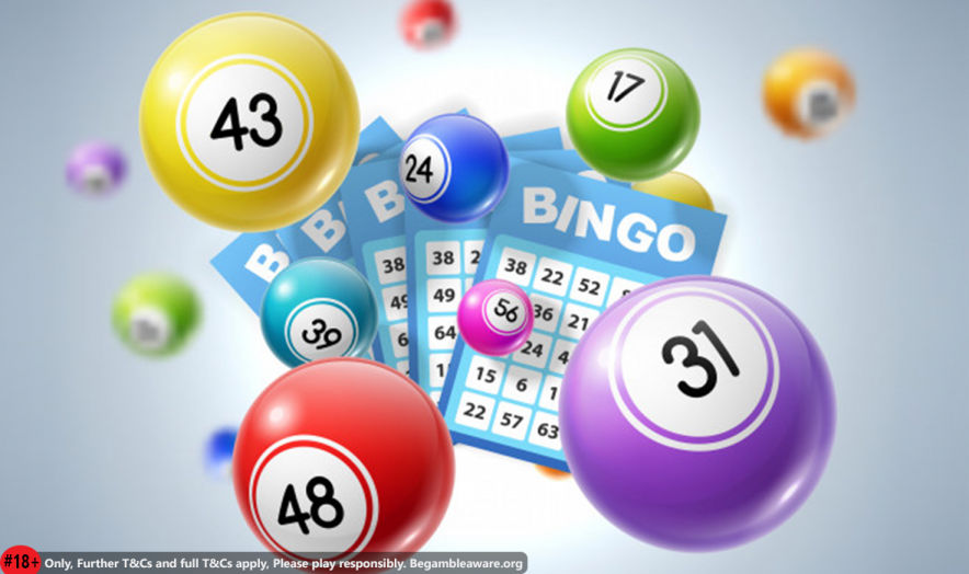 best bingo sites to win
