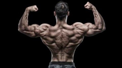 get big fast steroids