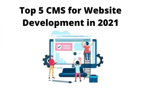 CMS Development Services