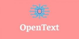 sap opentext vim training