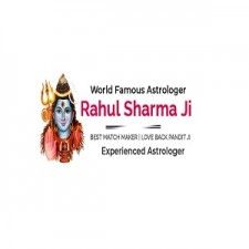 World Best Indian Astrologer