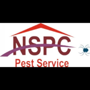 Pest-Control-in-Gurgaon