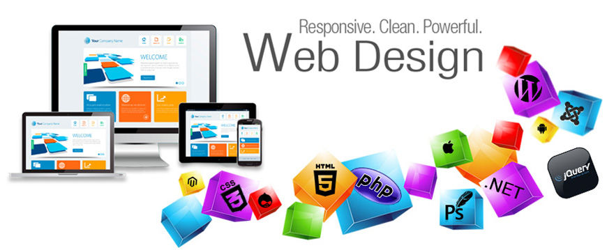 Website developer in Delhi NCR>