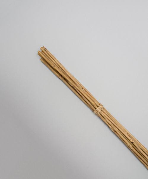 produktbild för Blompinne Bambu 106cm 10st/fp