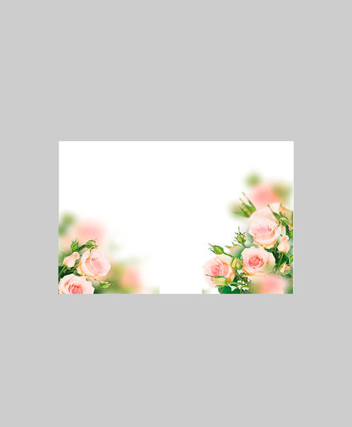 produktbild för Kort 60-00270 Rosor rosa 50st/fp