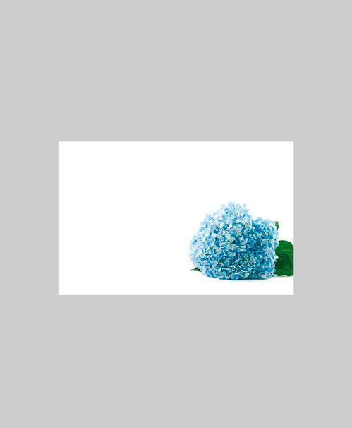 produktbild för Kort 60-00314 Hortensia blå 50/fp