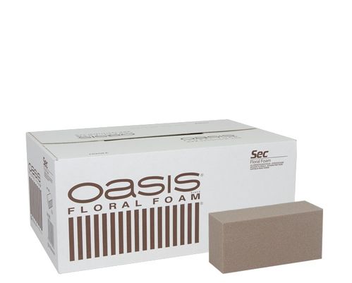 produktbild för Oasis (torr) Sec Bricks 20st/fp 2002