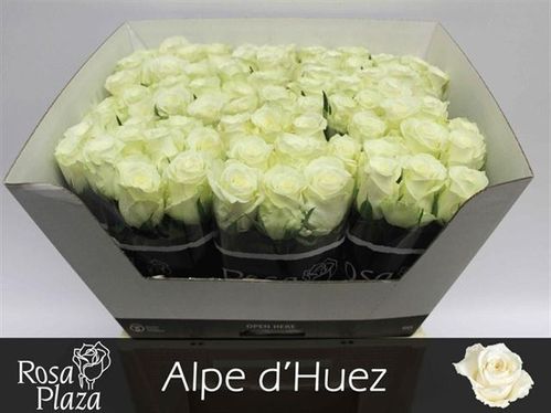 produktbild för Alpe d´ Huez