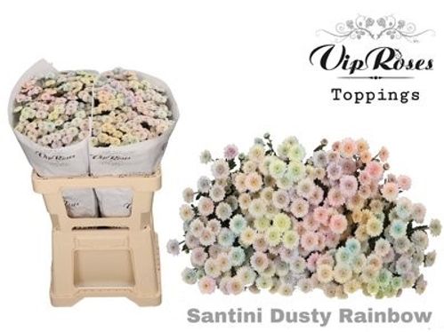 produktbild för Santini Dusty Rainbow