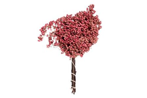 produktbild för Peppar Rose På Stjälk h 25-30 Cm 140 Gr/Bt x 1