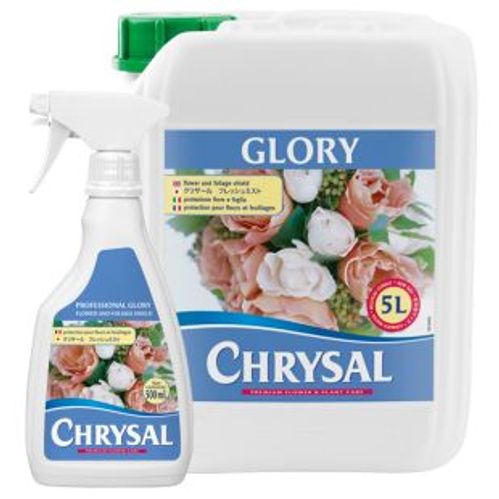 produktbild för Chrysal Professional Glory 5 Literl x 1