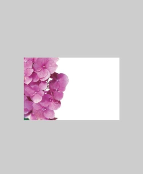 produktbild för Blomsterkort Med Hortensia 50/Fpn
