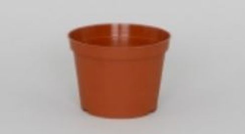 produktbild för Plastkruka Amaryllis D 15 H 10 Cm 25/Fpn