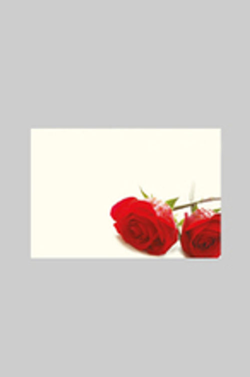 produktbild för Kort Ros Röd 60-00117  13x9cm