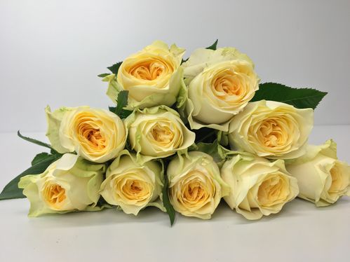 produktbild för Butter Cup Florist Selection