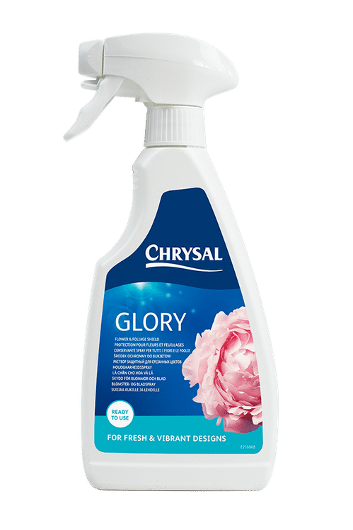 produktbild för Chrysal Prof Glory trigger 12*0.5L INT