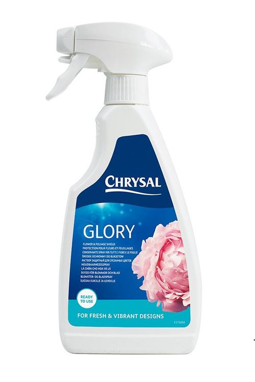 produktbild för Chrysal Professional Glory 500 Ml x 1