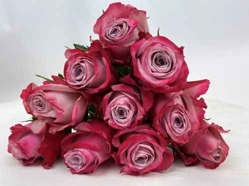 produktbild för Infused Pink Florist Selection