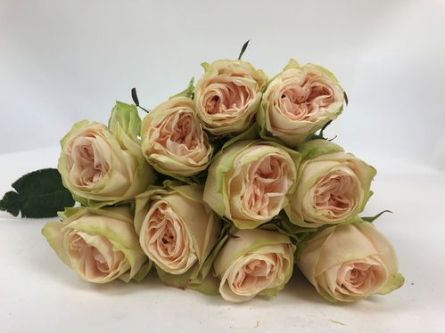 produktbild för Wedding Rose