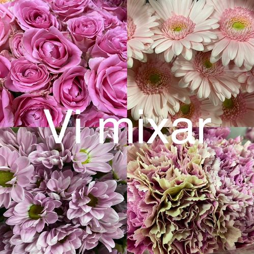 KRANSBL MX ROSA TONER