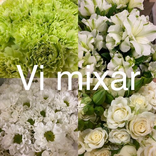 KRANSBL MIX VIT/LIME TONER