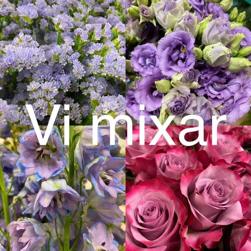 KRANSBL MIX BLÅ/LILA TONER