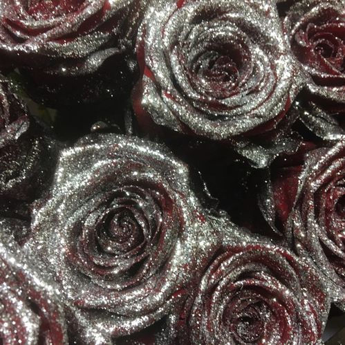 ROS RED NAOMI M SILVERGLITTER 70CM