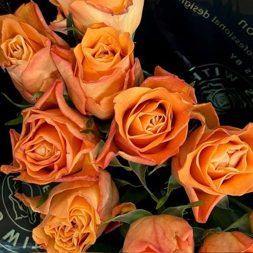 ROS GARFIELD ORANGE 50CM