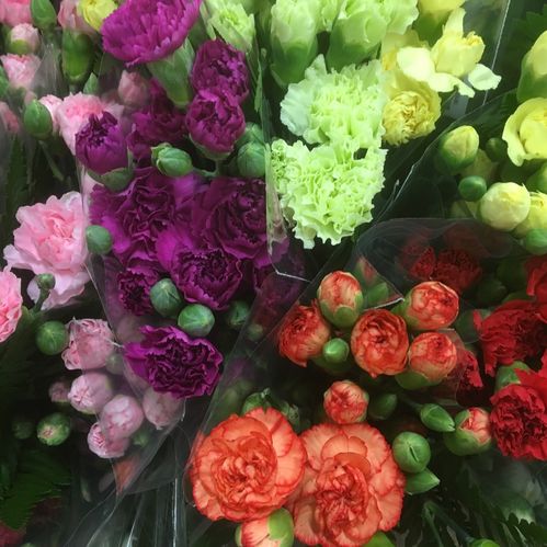 BUNT ELEGANCE 5-P x20