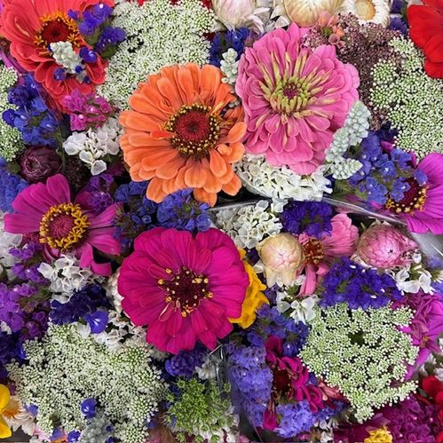 BUNT SOMMAR MIX X5