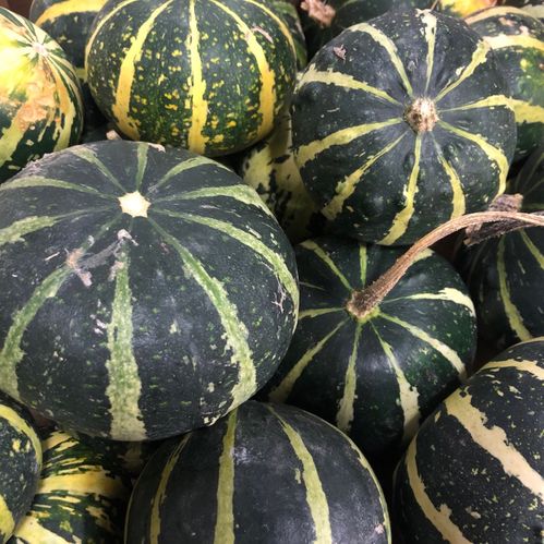 PUMPA PEPO DEKO MIX FÄRG x18