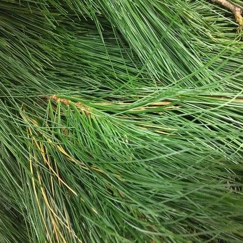 GRÖNT SILKEFUR/PINUS 60CM