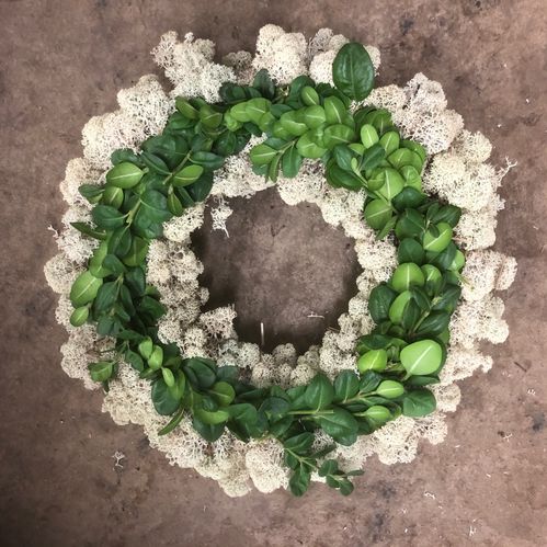 MOSSKRANS M BUXBOMRAND 25CM ODEK