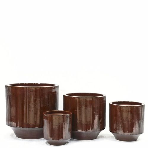 GUS 99899 STRIPE 4-SET BRUN