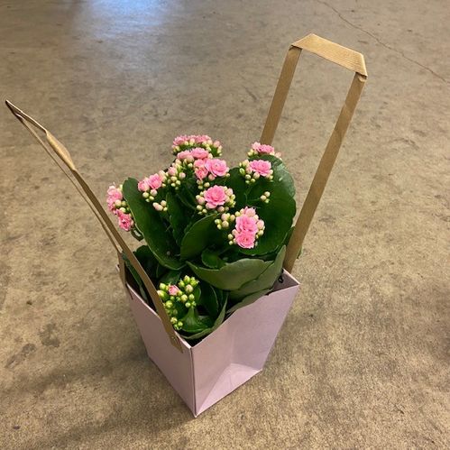 PÅSE GRAB N´GO ROSA-VIOLETT 13*9*15CM