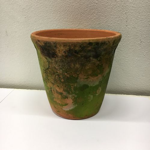 BG 10131144 LACEPOT NATUR 10*10CM x12