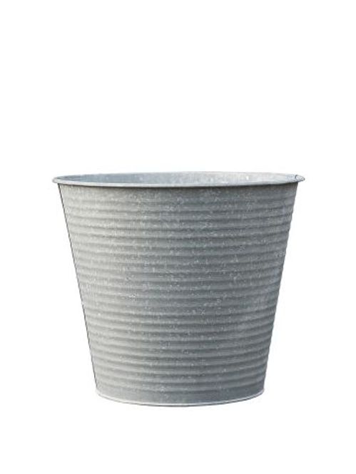BG 50100902-S6 AMALIE ZINK 6-SET