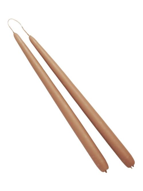 LJUS BG GOLDEN BROWN x24