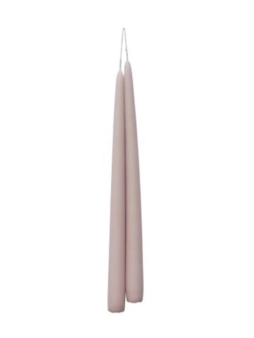 LJUS BG MALVA ROSE x24