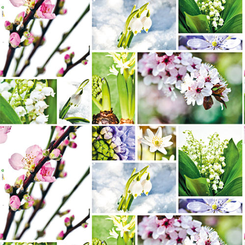 PAPPER SPRING 8KG