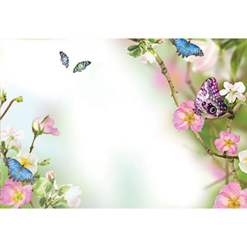 KORT OASIS FLOWERS & BUTTERFLIES 50-P