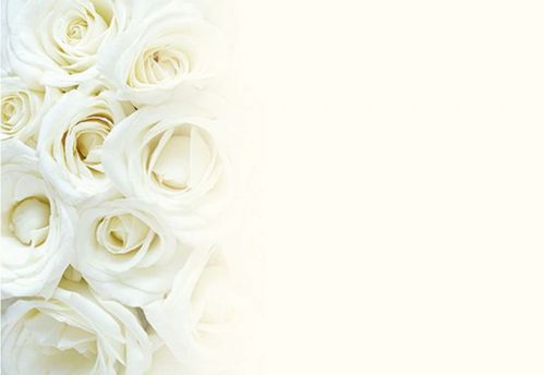 KORT OASIS ROSE IVORY 50-P