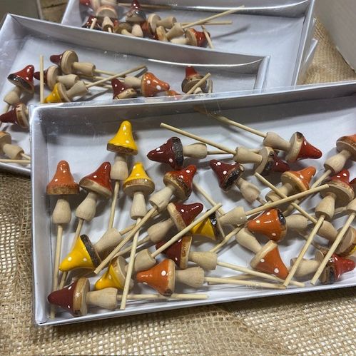 EN 78602-100 SVAMP MIX STICKS x24