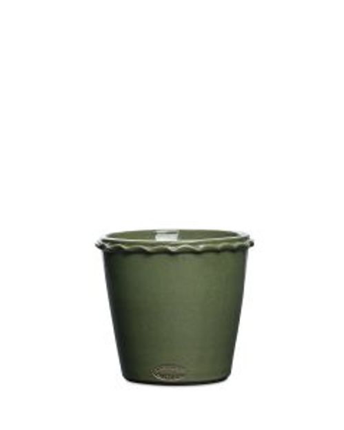 EN 27619-141 TERRA NOVA OLIV K:15CM