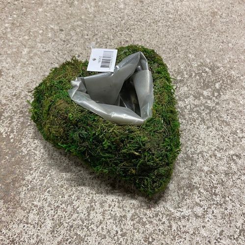 AL 18052 MOSSHJÄRTA PLANT 15CM x20